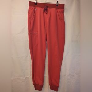 (Flaw) Figs Clay Zamora Jogger
